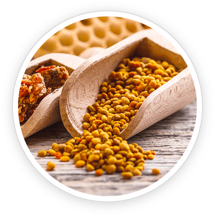 Bee Pollen