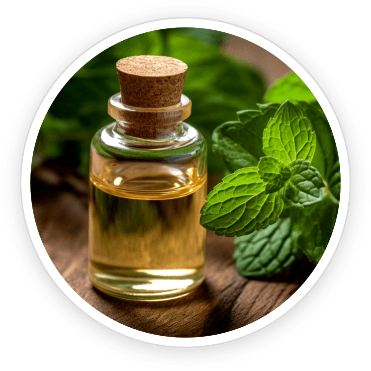 Peppermint Essential Oil