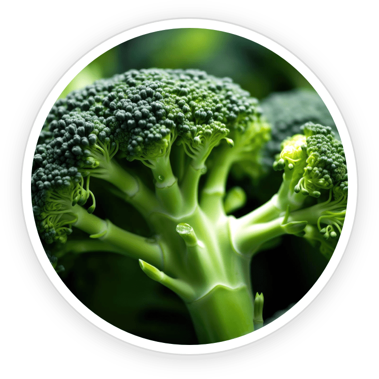 Sulforaphane